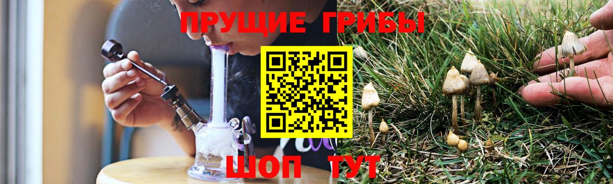 Галлюциногенные грибы Cubensis Минеральные Воды